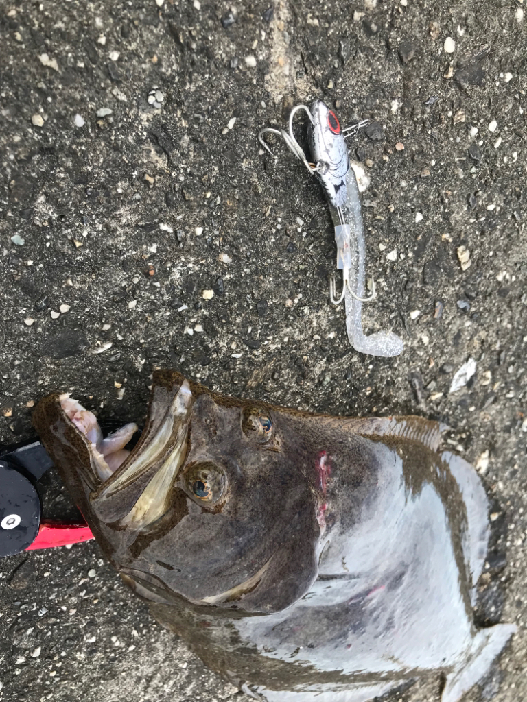 キス釣りの前にちょこっと