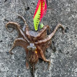 Wヘッダー 初戦❓