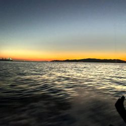 タチウオジギング