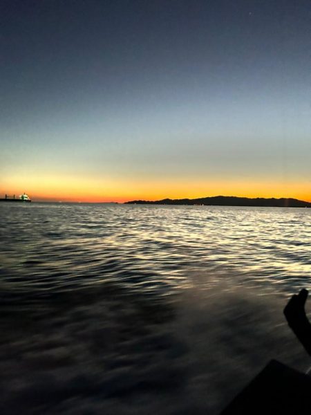 タチウオジギング