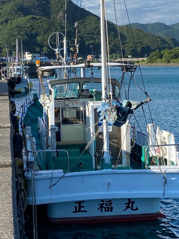 和歌山イカメタル