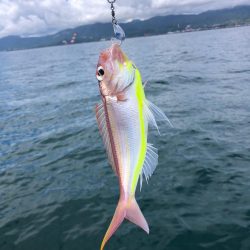 暑いけど熱くない釣行でした