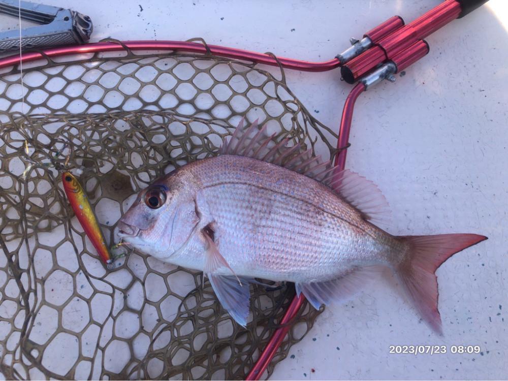 7/23 伊島沖 ジギング ジグサビキ