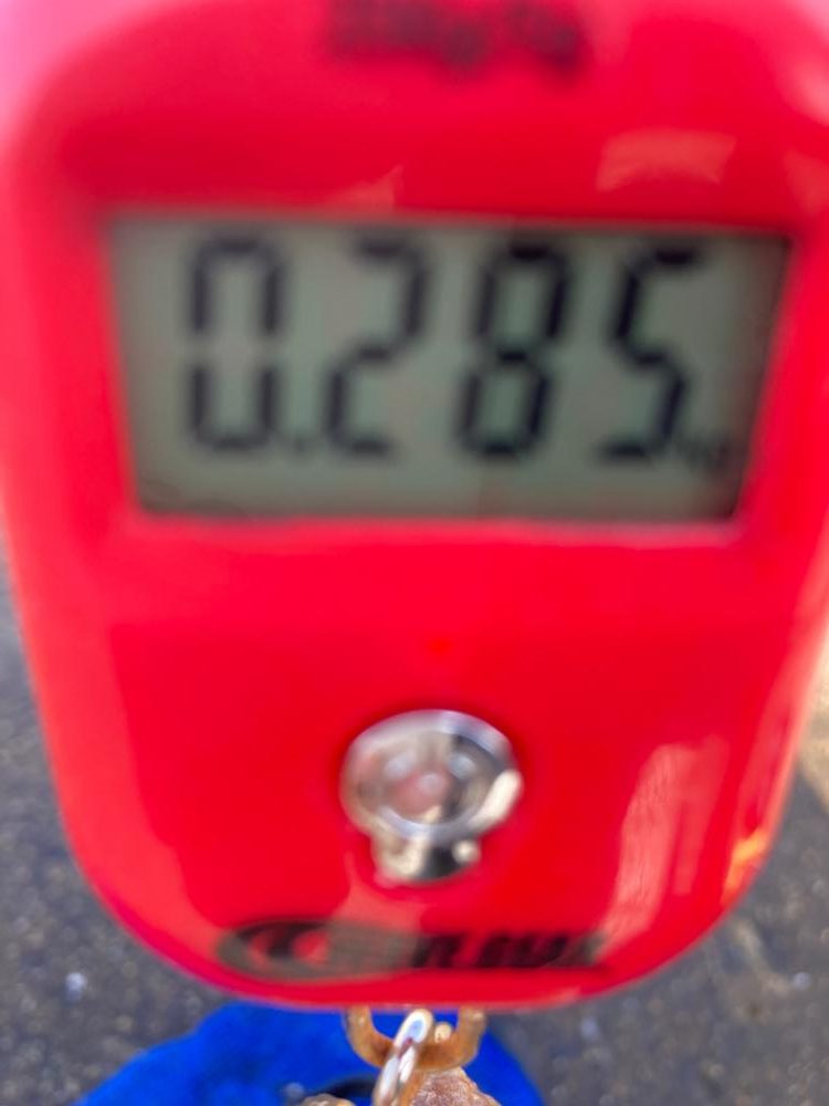 ⭐︎オオシオニガテ