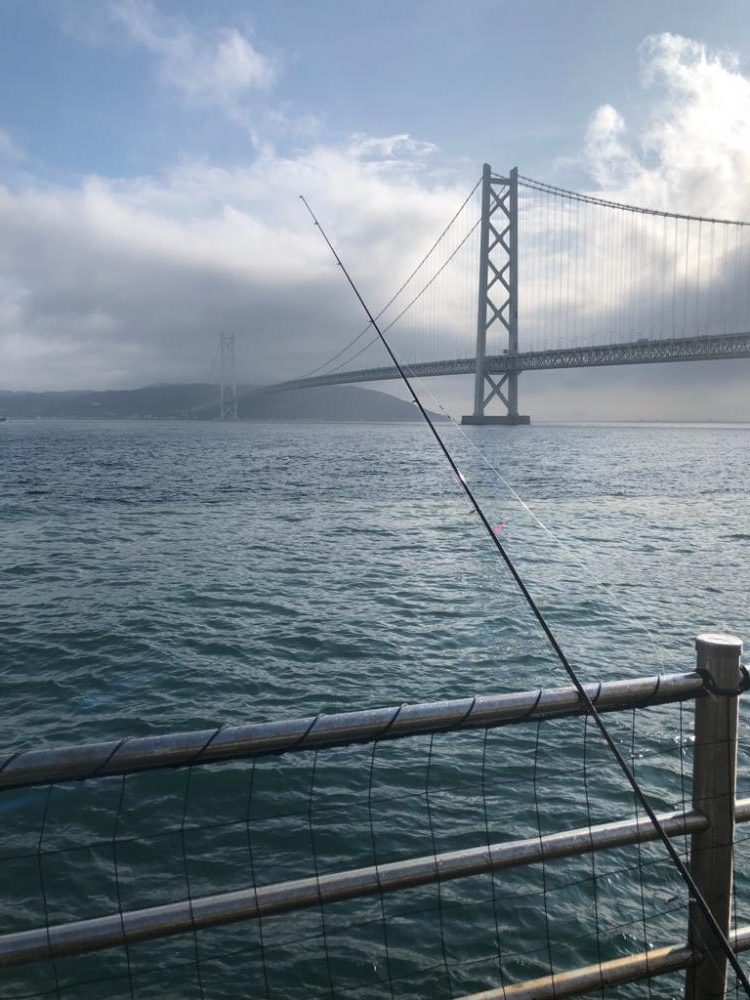 極小ジグサビキで多魚種ゲット！