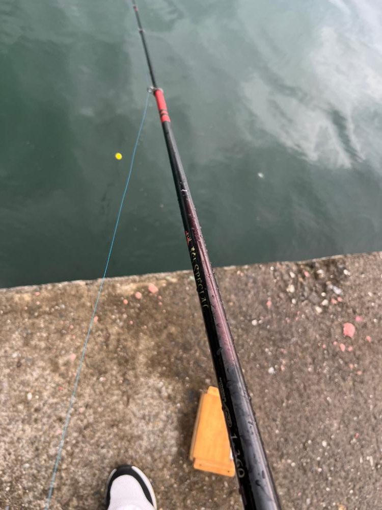 堤防から夕まずめグレ釣り🎣