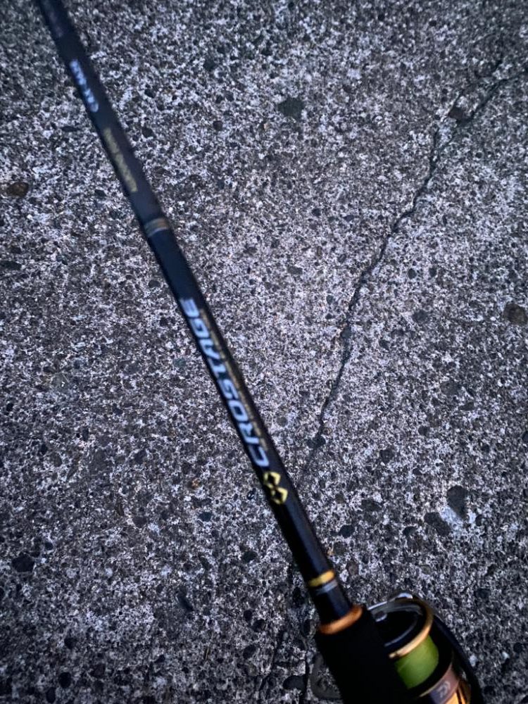 キジハタゲーム