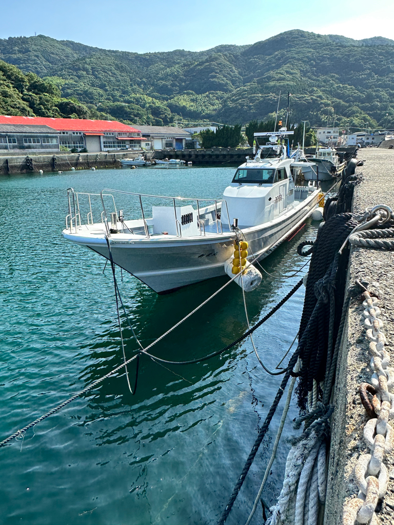 イカメタル釣行