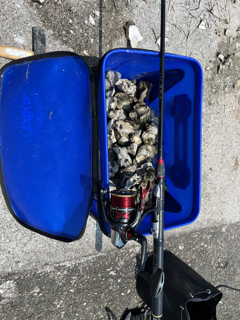 初かぶせ釣り🎣