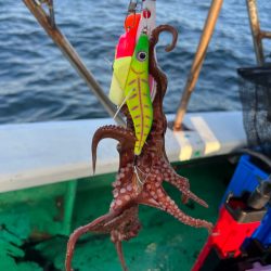 明石エギタコ🐙