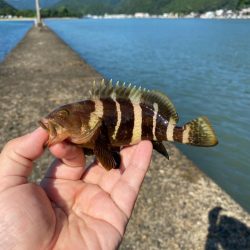 ちょい投げライトキスゲーム④