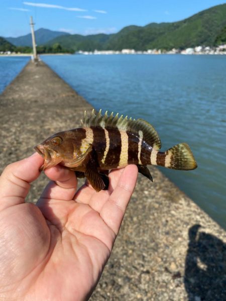 ちょい投げライトキスゲーム④