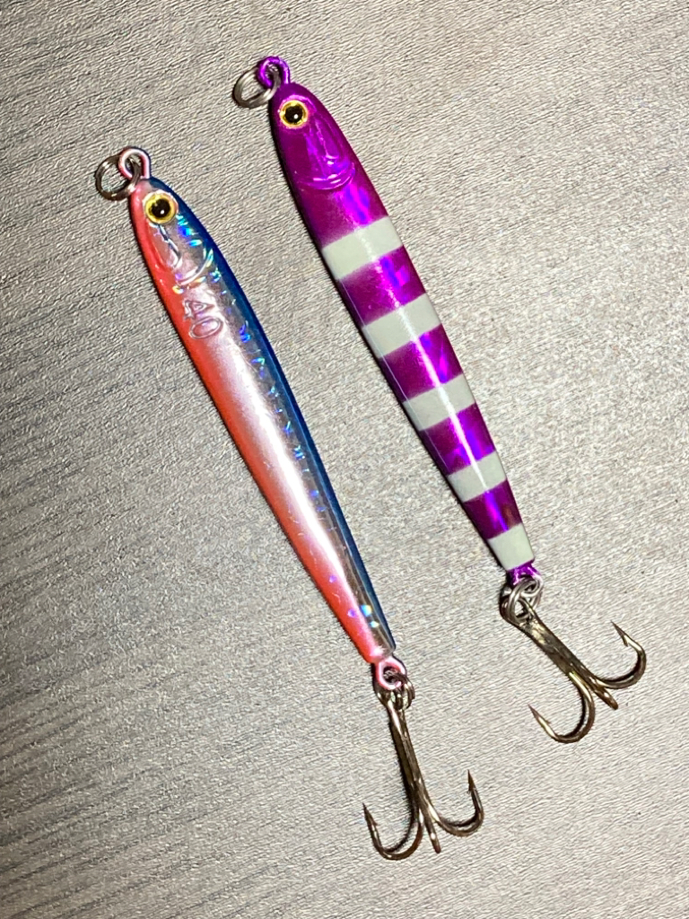 ハガツオ、カンパチ釣果