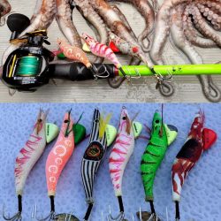 伊勢湾沖タコ釣り開幕！