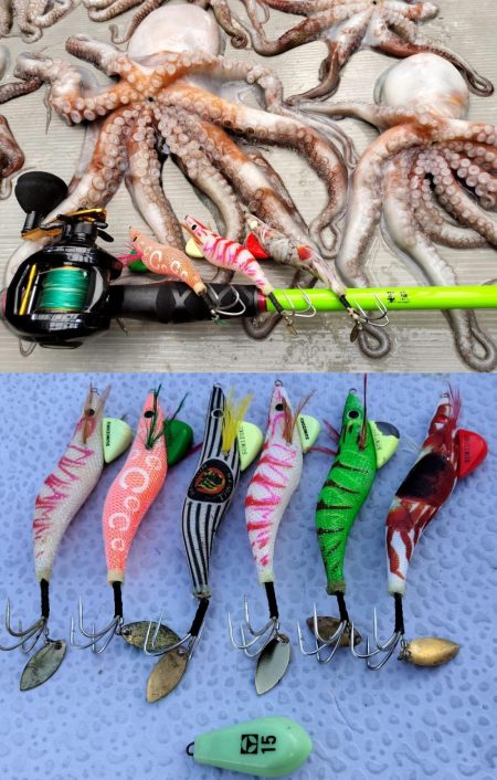 伊勢湾沖タコ釣り開幕！