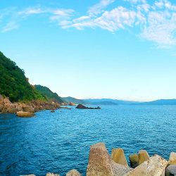 有田での意外なシオ釣り日