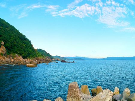 有田での意外なシオ釣り日