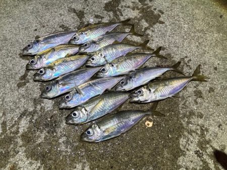 姫路離島のアジング｜渋くなってきた・・・ケ…