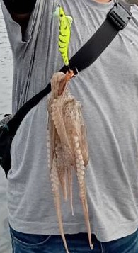 オクトパッシング