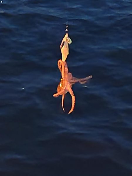 オクトパッシング