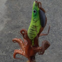 オクトパッシング