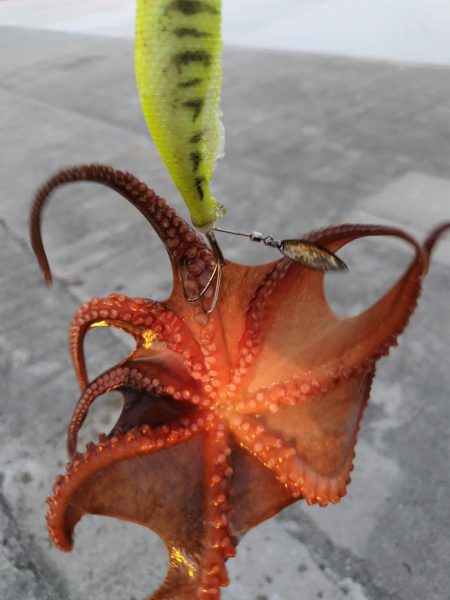 オクトパッシング