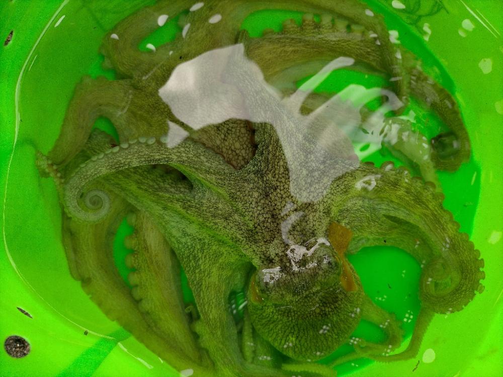 風強くてやりにくかったですが、、