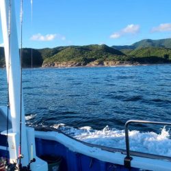 和歌山市江（吉丸渡船）でイカメタル