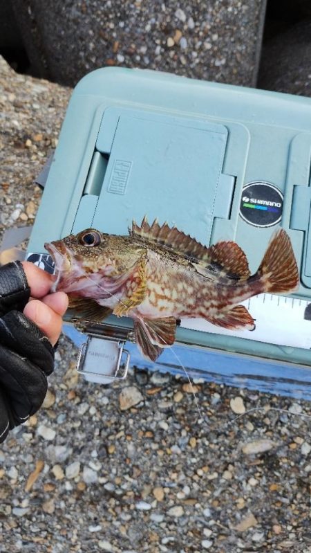 ハマりました♪