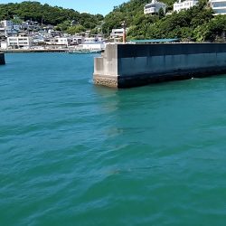 キス釣りで色々釣れました