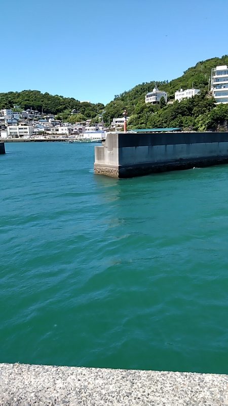 キス釣りで色々釣れました