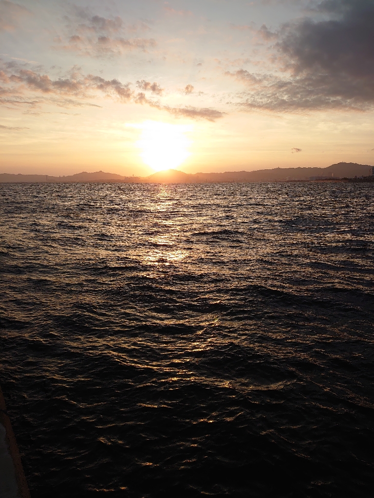 ショアジギング