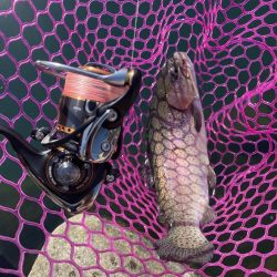 釣食浪漫 ~Just a man in love~