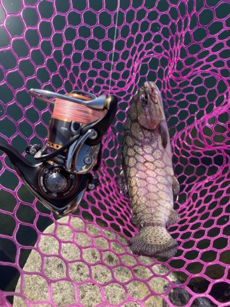 釣食浪漫 ~Just a man in love~