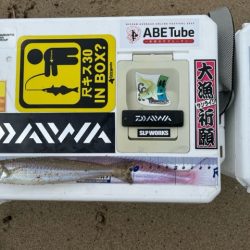 豪雨後の状況を確認したくて投げに行ってきました