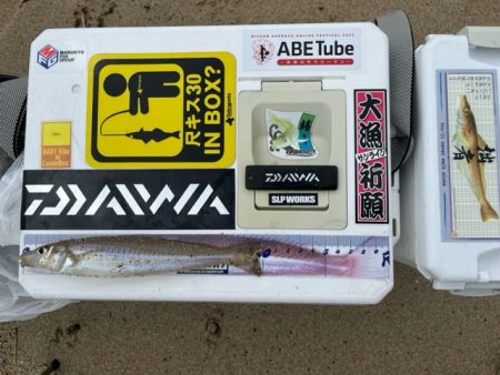 豪雨後の状況を確認したくて投げに行ってきました