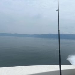 鹿児島錦江湾のテンヤマダイ