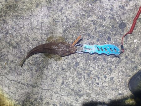 長くて飛ぶヤツ