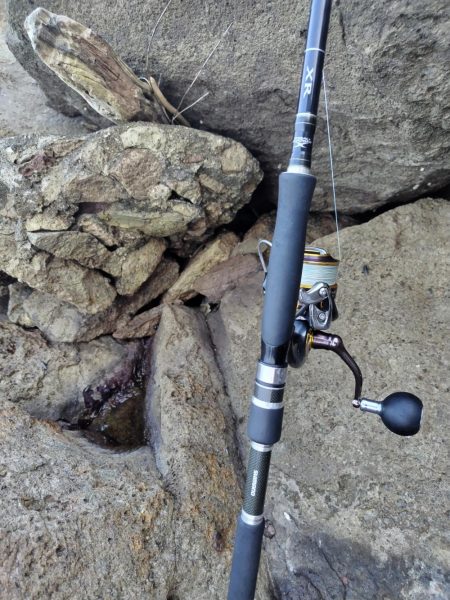 ロックフイッシュ&シーバス