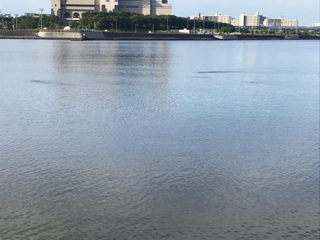 トップは空振りでボトムチニング