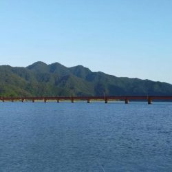 由良川河口でキス釣り