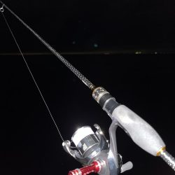 久しぶりアジング