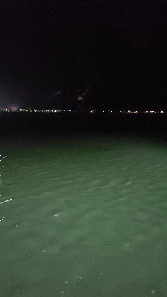 久しぶりのサバ