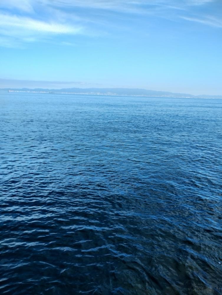 朝から軽めにタコ釣り