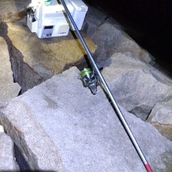 室津のキス釣り