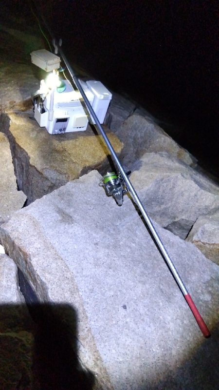 室津のキス釣り