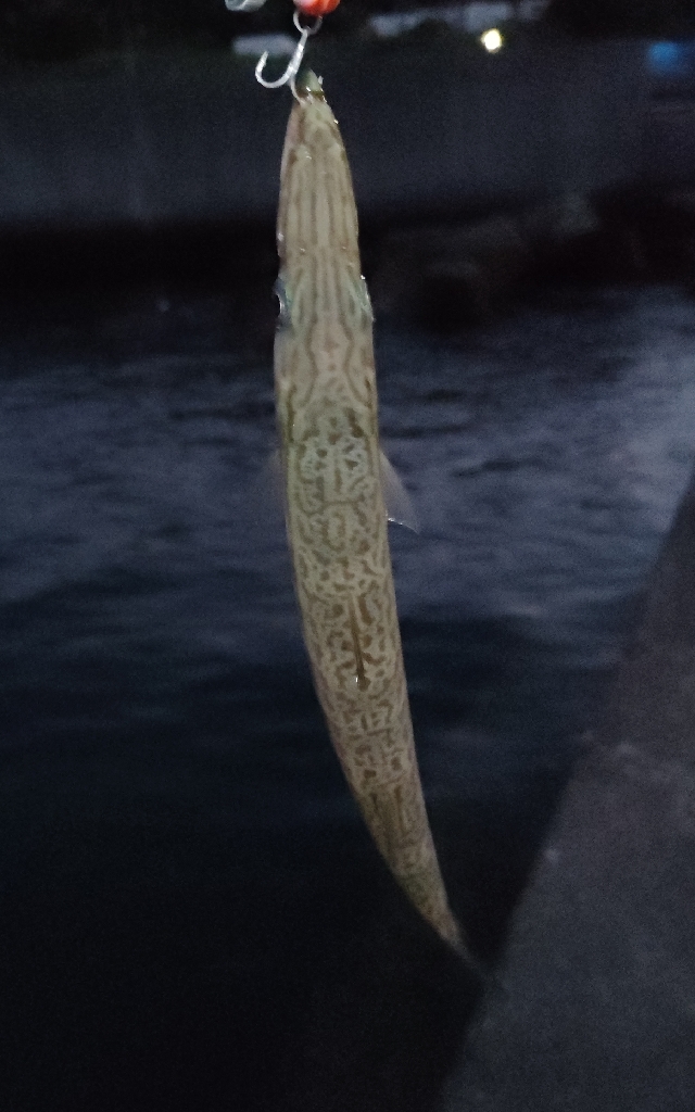 南紀釣りツーリングキャンプ