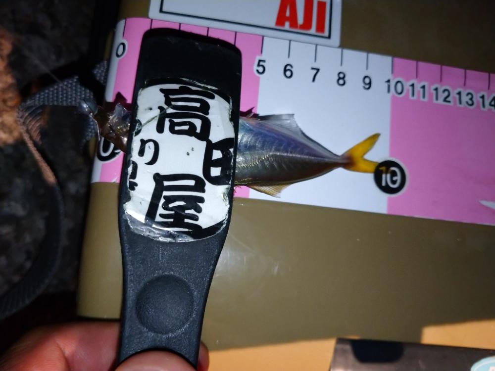 悶絶豆アジング