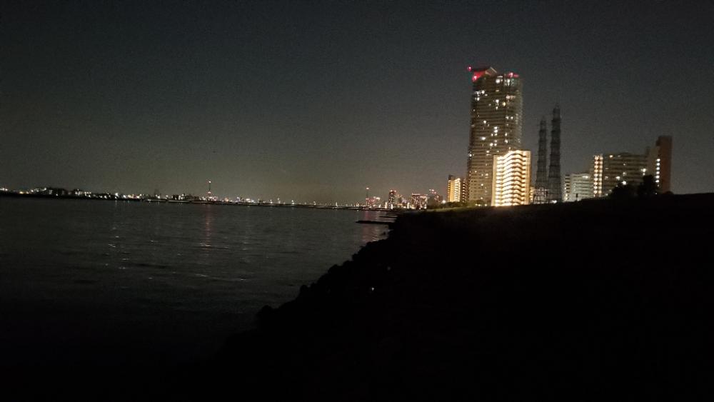 ちょっと渋くなってきたチニング