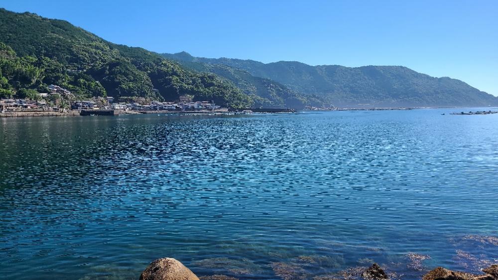 今日もロックフィッシュ